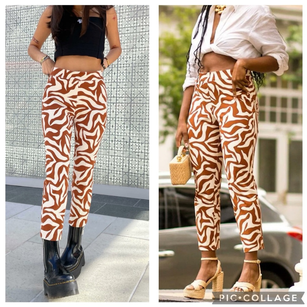 Spanx On The Go Zebra Print Pull On Pant S - image 1